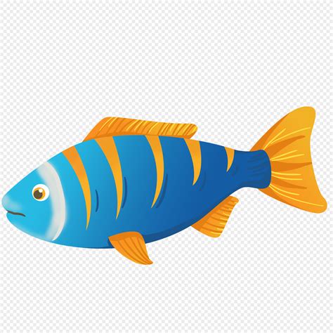 魚 插圖